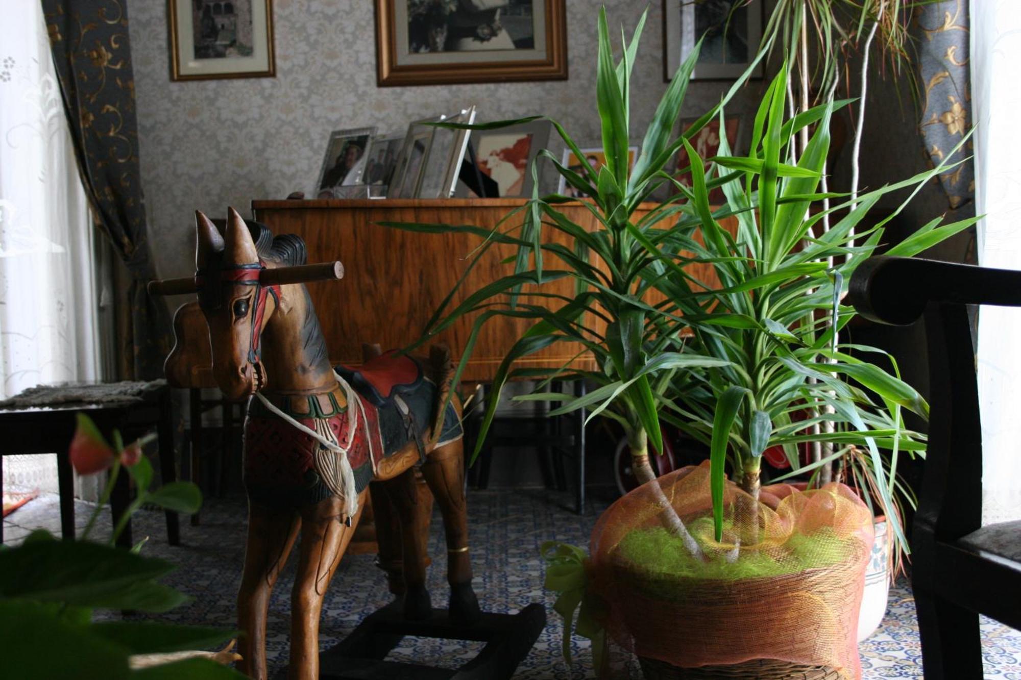 מודיקה Palazzo Il Cavaliere B&B De Charme מראה חיצוני תמונה